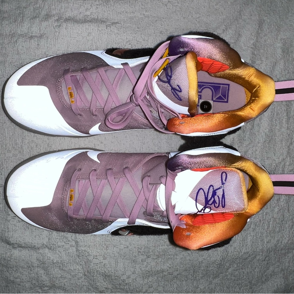 Nike Lebron’s 10’s - image 5